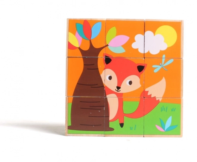 Houten Blokken Dieren Wild Gekleurd