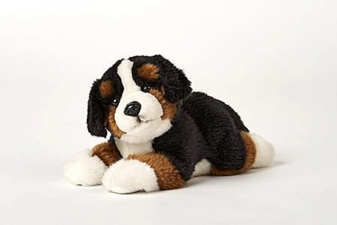 Pluche Berner Sennenhond 25 cm