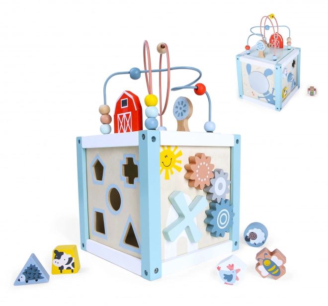 Houten blok sorteerkubus met blokken Ecotoys