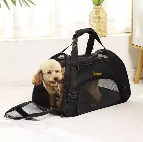 Transporter - tas voor hond/kat