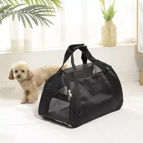 Transporter - tas voor hond/kat