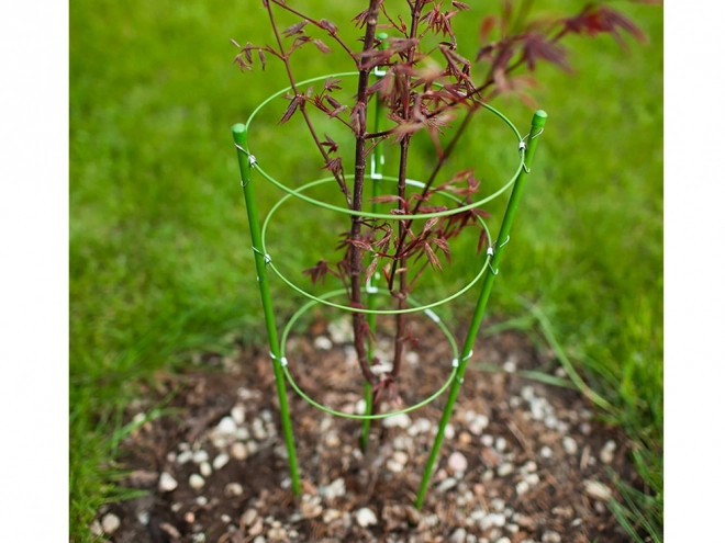 Bloemenring Ronde Plant Ondersteuning