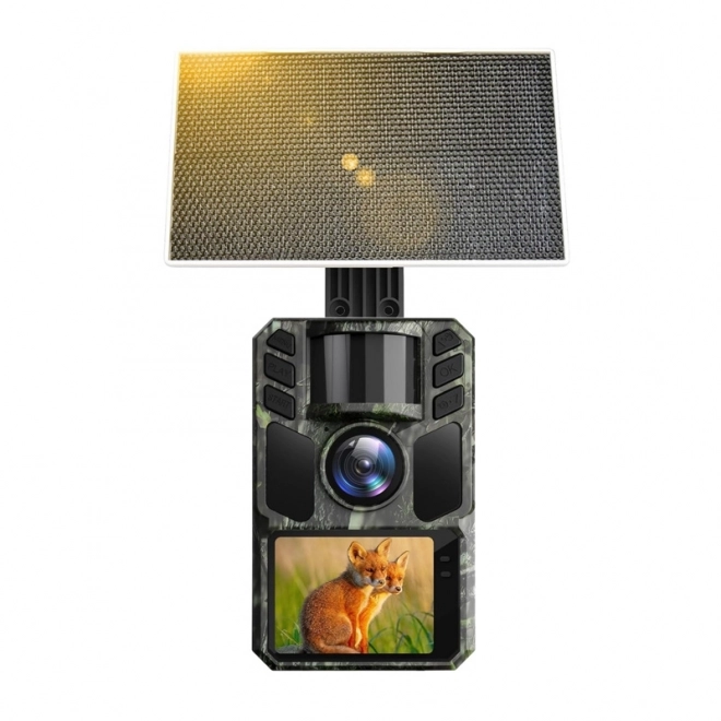 Wildcamera met zonnepaneel KJK