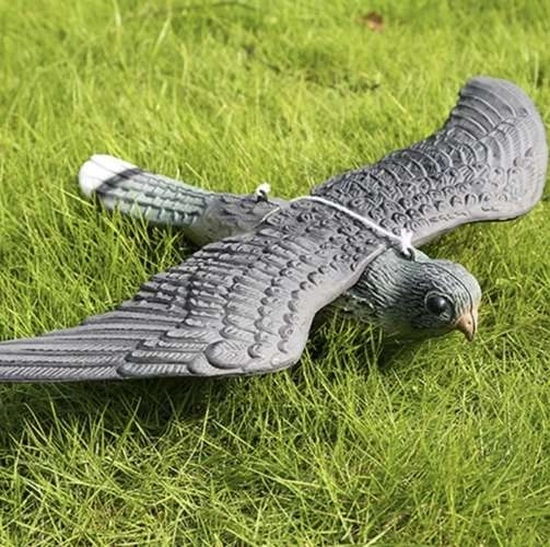 Namaak Slechtvalk - Vogelverschrikker