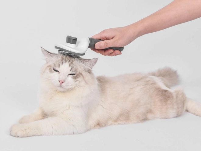 Zelfreinigende borstel voor honden en katten
