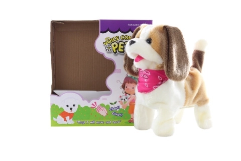 Hondje met een sjaaltje dat op klappen reageert