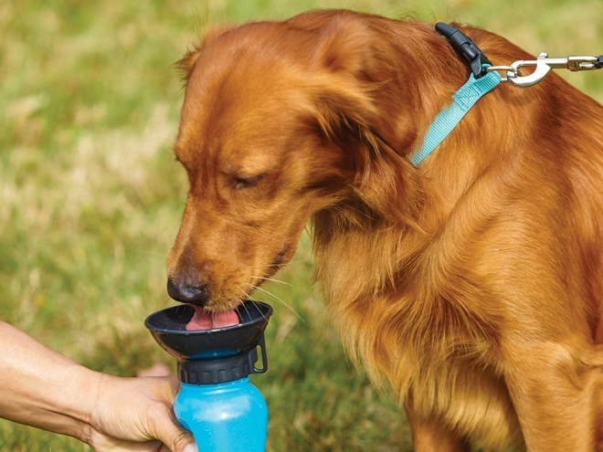 Reis waterfles voor honden
