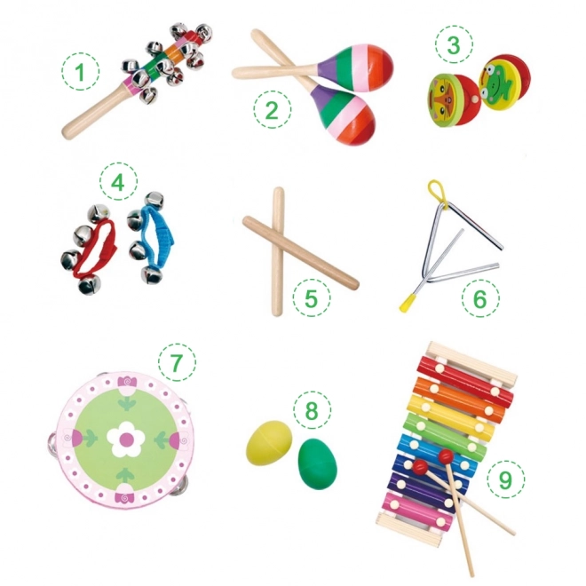 Muziekset 14 instrumenten + tas Ecotoys