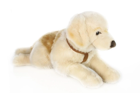 Knuffelachtige retriever om mee te knuffelen