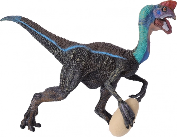 Ideaal voor educatie en voor de collectie