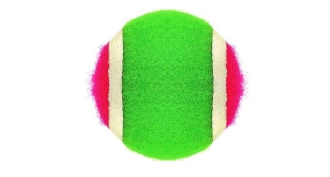 Buitenspel - Vangbal met klittenbandbal