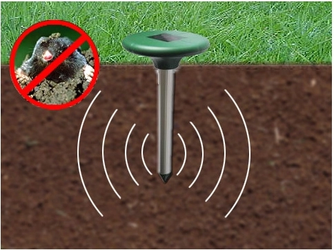Variabele frequentie en trillingen