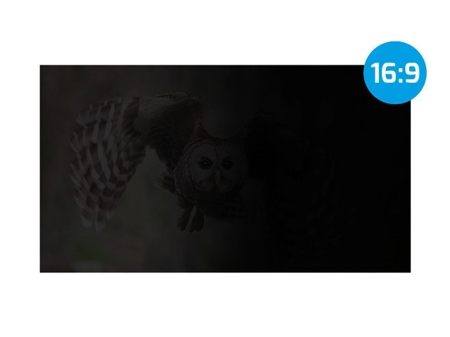 Privacyfilter Natec Owl 16 inch 16:10