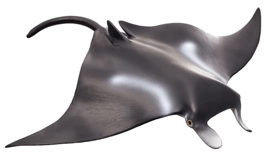 Mojo Dieren Planeet Pijlstaartrog