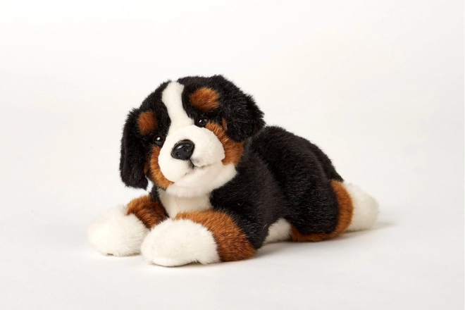 Pluche Berner Sennenhond 25 cm