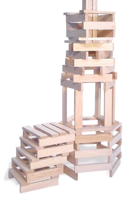 Houten bouwpakket Vilac Batibloc 200 stukken