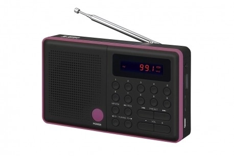 Radio Pliszka USB FM zwart
