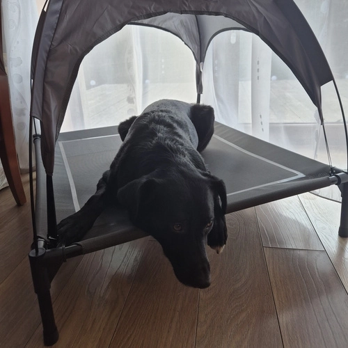 Overkapte hondenbed XXL Purlov