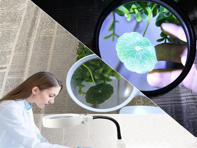 Cosmetische loep met LED verlichting