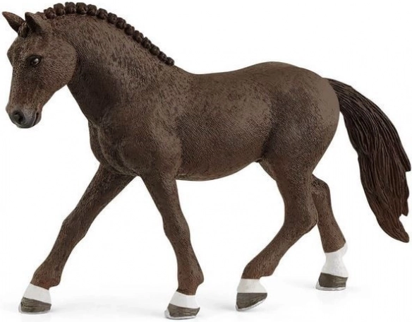 Duitse rijpony