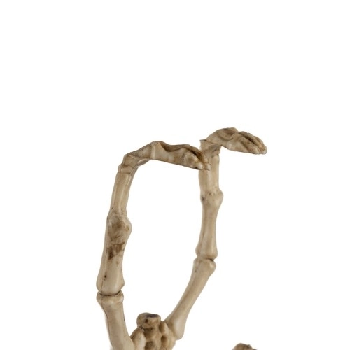 Vleermuis skelet - decoratie 30 cm Malatec