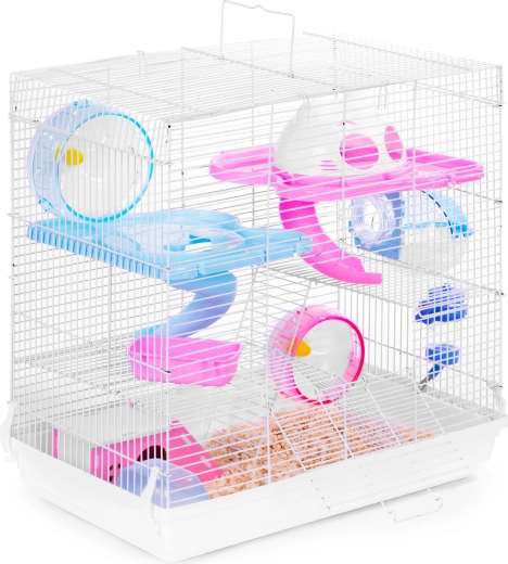 Meerniveaus plezier en beweging