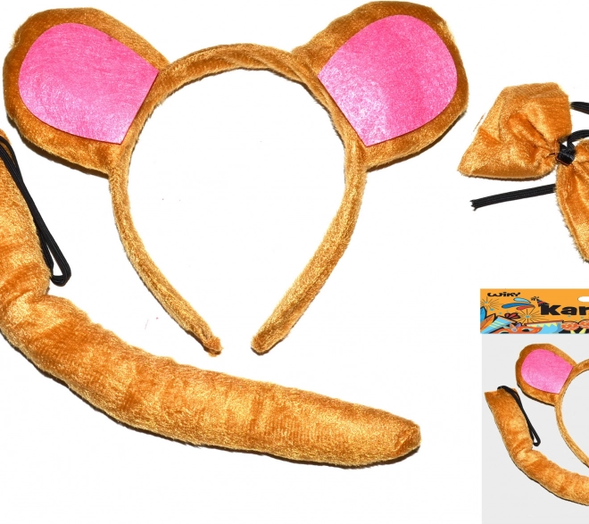 Carnavalsset - aap