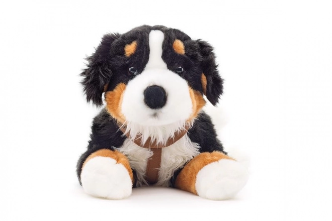 Pluche Berner Sennenhond 65 cm
