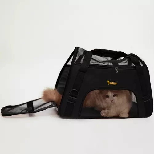 Transporter - tas voor hond/kat
