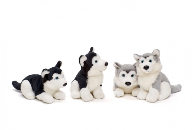 Pluchen husky 15 cm