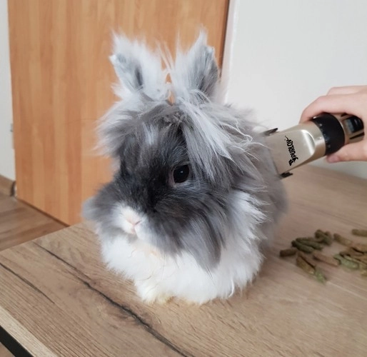 Trimmer voor honden - set