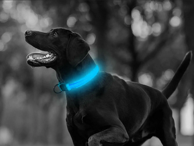 Verstelbare LED-halsband voor honden en katten