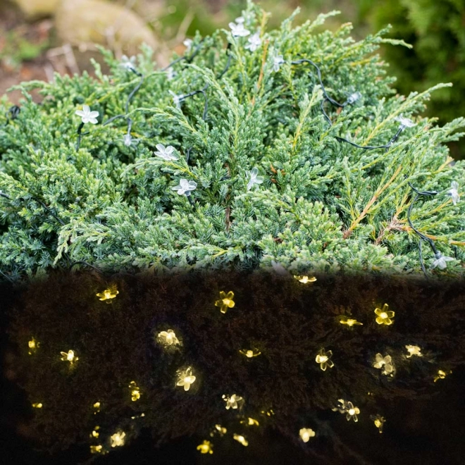 Zonne Tuinlampen in de Vorm van Bloemen 7m 50 LED Warm Wit