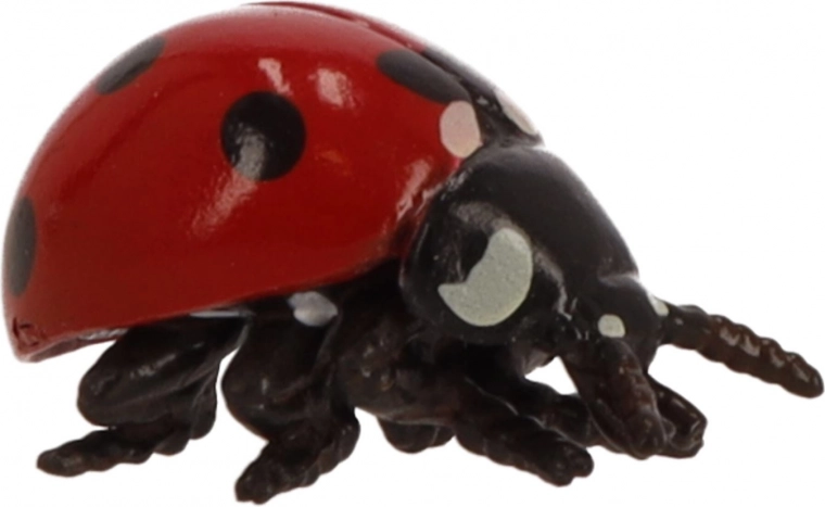 Kleine afmetingen, grote speelmogelijkheden