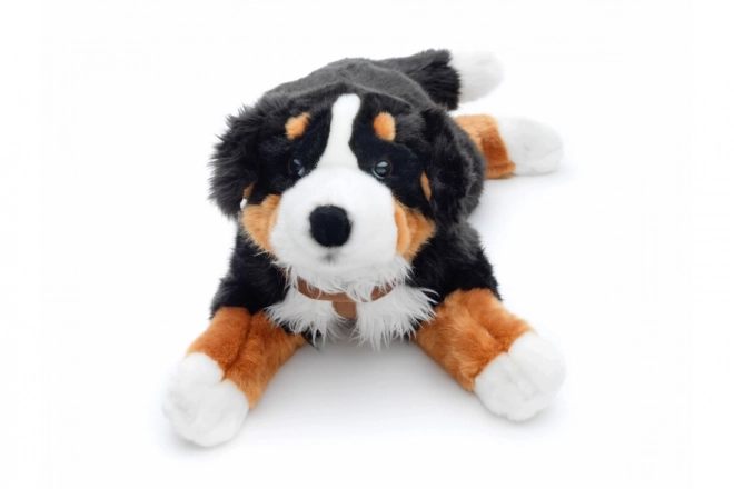 Pluche Berner Sennenhond 65 cm