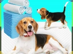 Hygiënische onderleggers voor honden XL 40×60 cm, super absorberend, 50 stuks