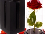 Lichtgevende eeuwige roos in glas met geschenkdoos