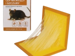 Lijmval voor muizen en ratten 24 × 17 cm