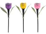 Zonne tuinlamp tulp met LED, mix kleuren