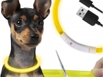 Oplichtende LED-halsband voor honden en katten met USB-oplading en verstelbare lengte