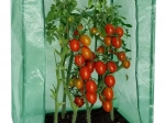 Tuinfoliekas 100 × 50 × 150 cm
