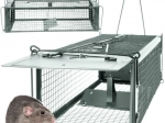 Levendvangkooi voor knaagdieren met automatische sluiting