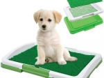 Toilettrainingsgras voor puppy's - 34 x 47 x 6 cm