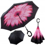 roze