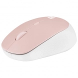 Wit-roze